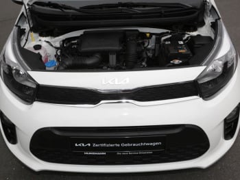 KIA Picanto 1.2 Vision Navi Klima Kamera SHZ DAB LM