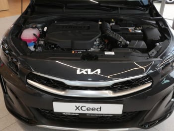 KIA XCeed 1.6D 136 48V DCT7 Platinum Panorama JBL Premium LED