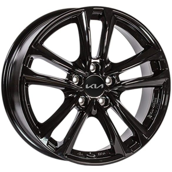 18-inch winter wheels KIA Sportage NQ5 5-twin-spoke Tavros black