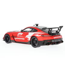 1:18 Modellauto AMG GT Black Series F1 Safety Car Original Mercedes-AMG | B66963805