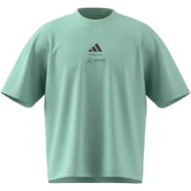 T-shirt Mens driver adidas Mercedes-AMG Petronas F1 green | B67998173-77