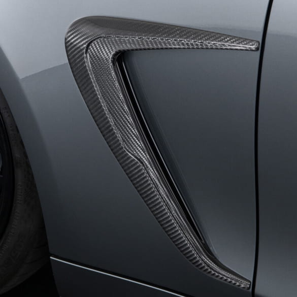 BRABUS mudguard attachments matte carbon fibre AMG GT C192