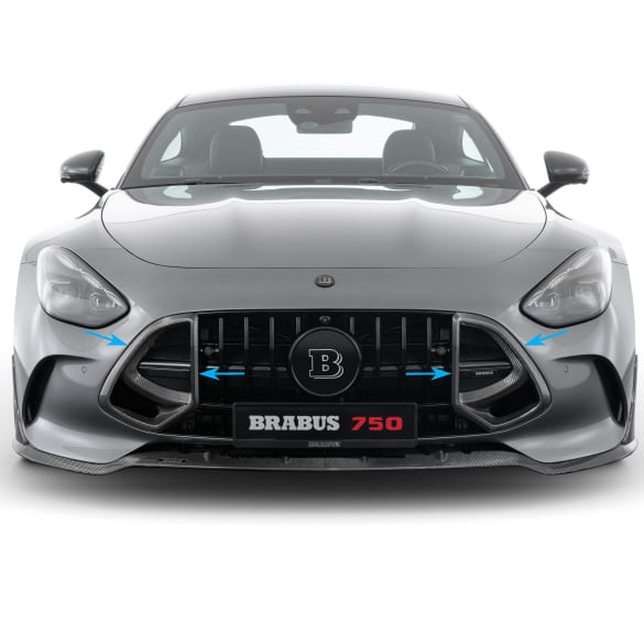 BRABUS radiator grille inserts glossy carbon fibre AMG GT C192