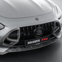 BRABUS radiator grille inserts glossy carbon fibre AMG GT C192 | 192-295-CG