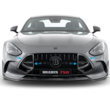 BRABUS radiator grille inserts matte carbon fibre AMG GT C192 | 192-295-CM